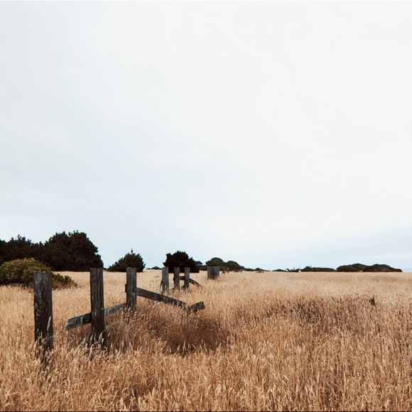 Meet your Posher, Jeremy - Picture 1 of 1